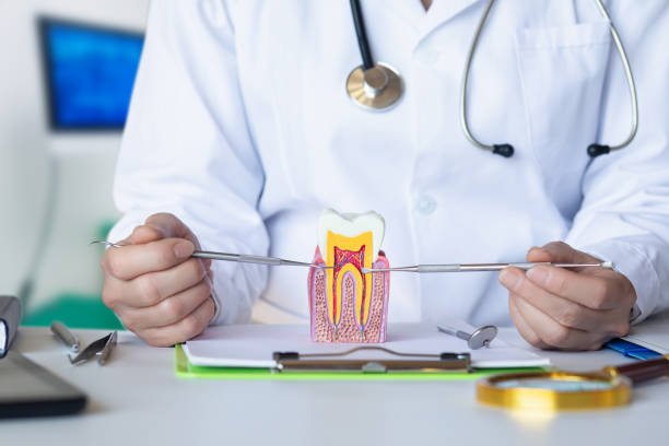 Best Emergency Root Canal Treatment in Wfield, IN